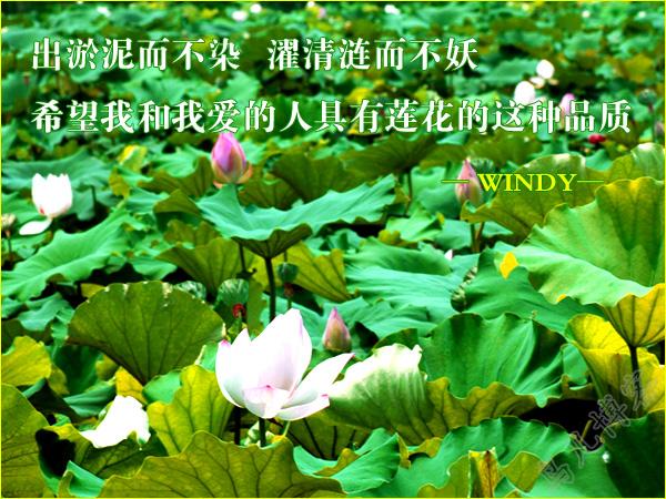 今天和妹妹恢复了沟通，生活的幸福原来很简单