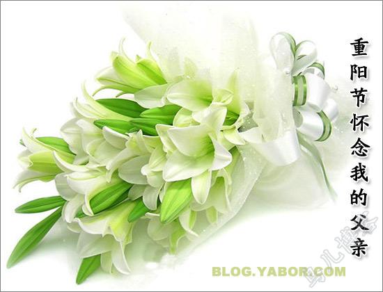 重阳节，今天是给逝去的爸爸树立新墓碑的日子
