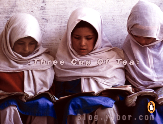 偶然发现的一本书《Three Cup Of Tea》